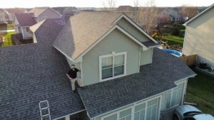Roof inspection